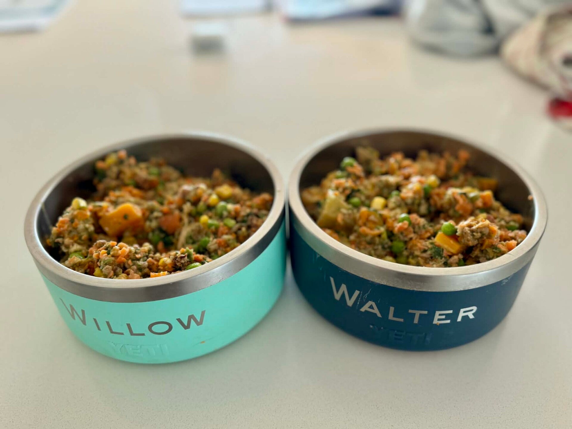 Pawganic food bowls for Willow and Walter
