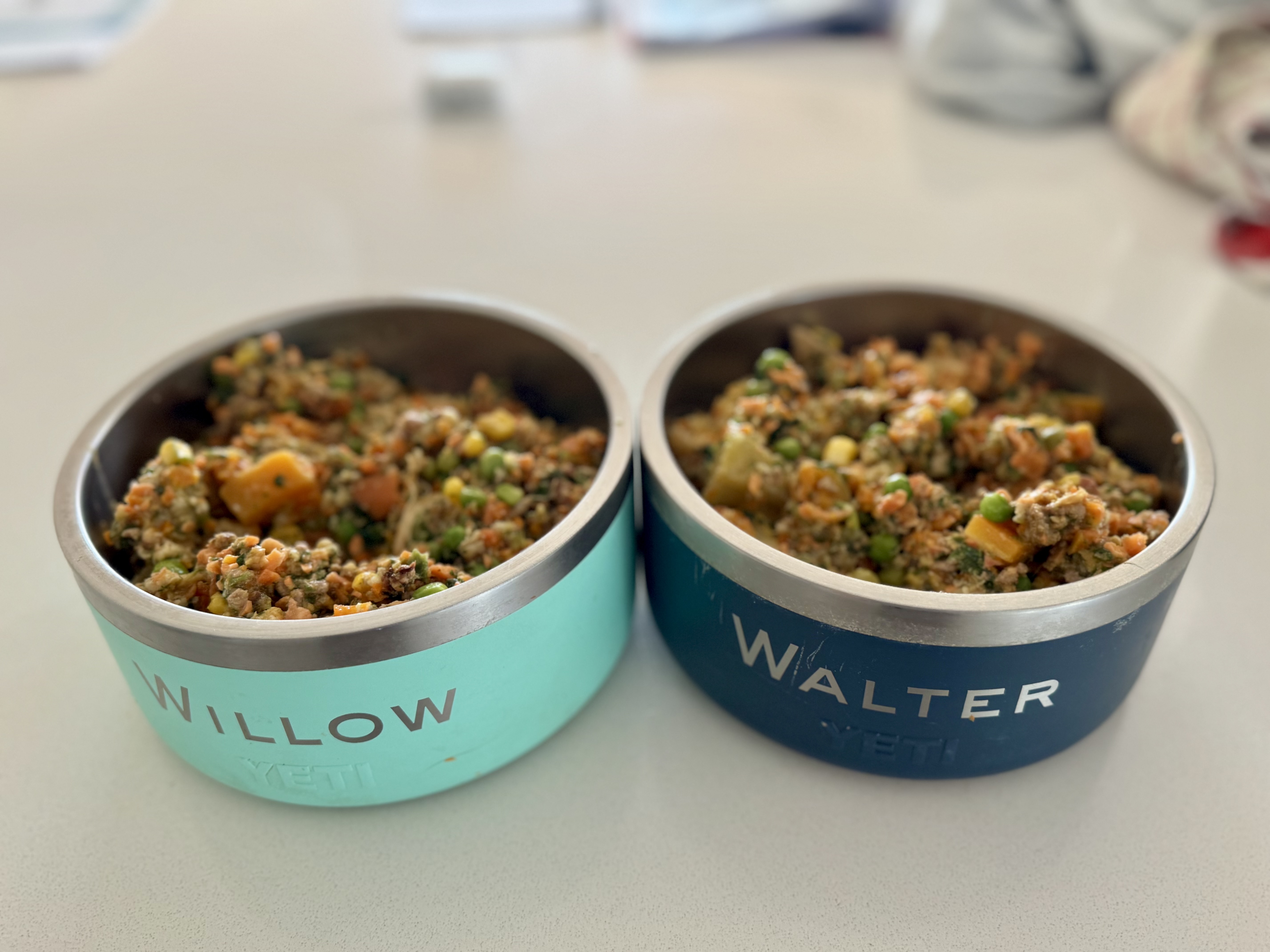 Willow and Walter's bowls filled with Pawganic PT food